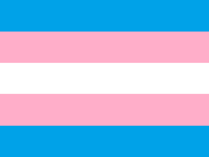 When is Transgender Parent Day 2025 and what does it mean?