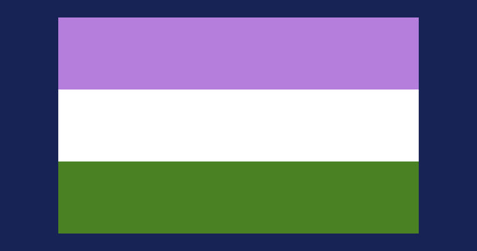 What is the Genderqueer pride flag and what does it mean?