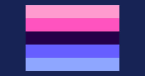 When is Omnisexual Awareness Day 2024 and what does it mean?