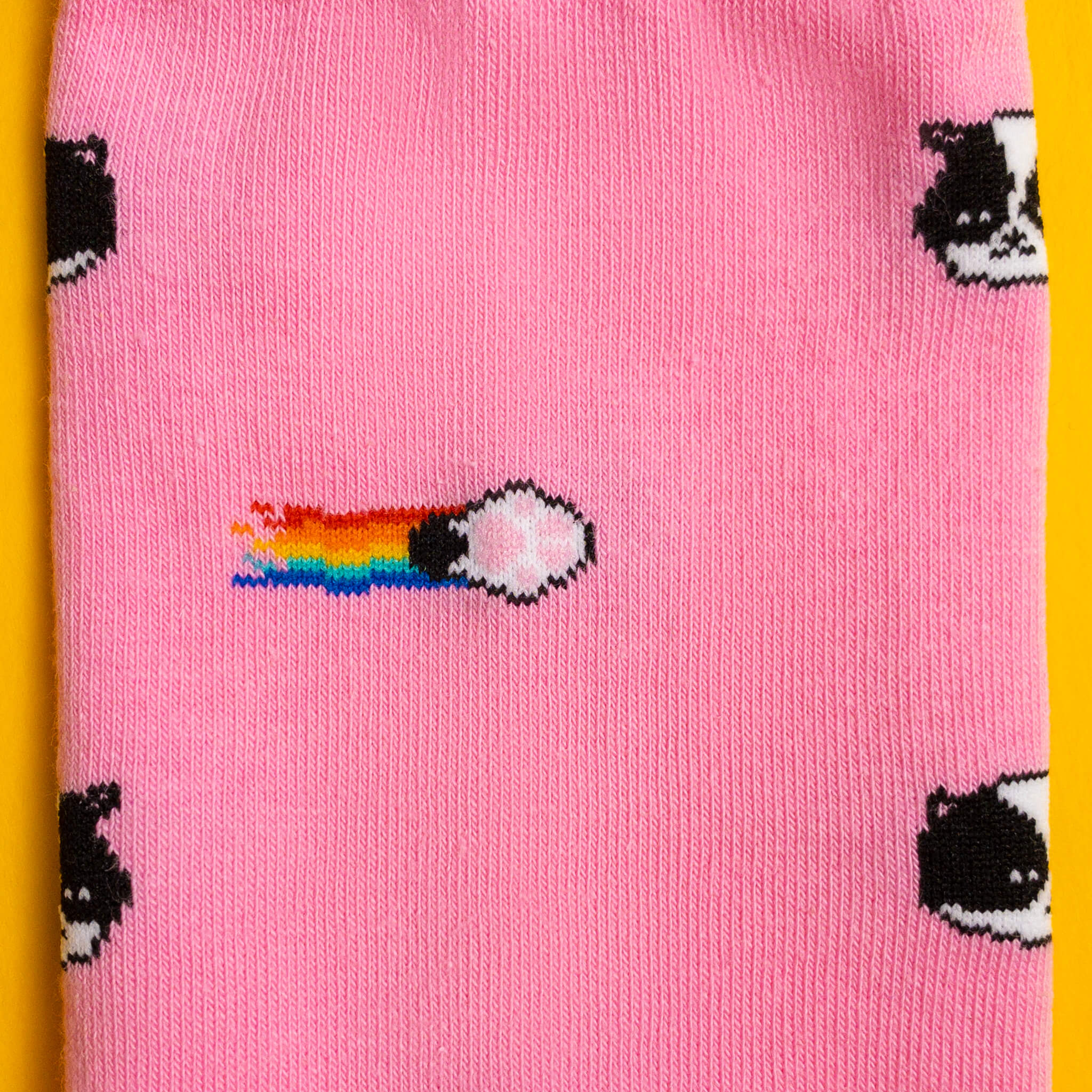 Kitten — socks