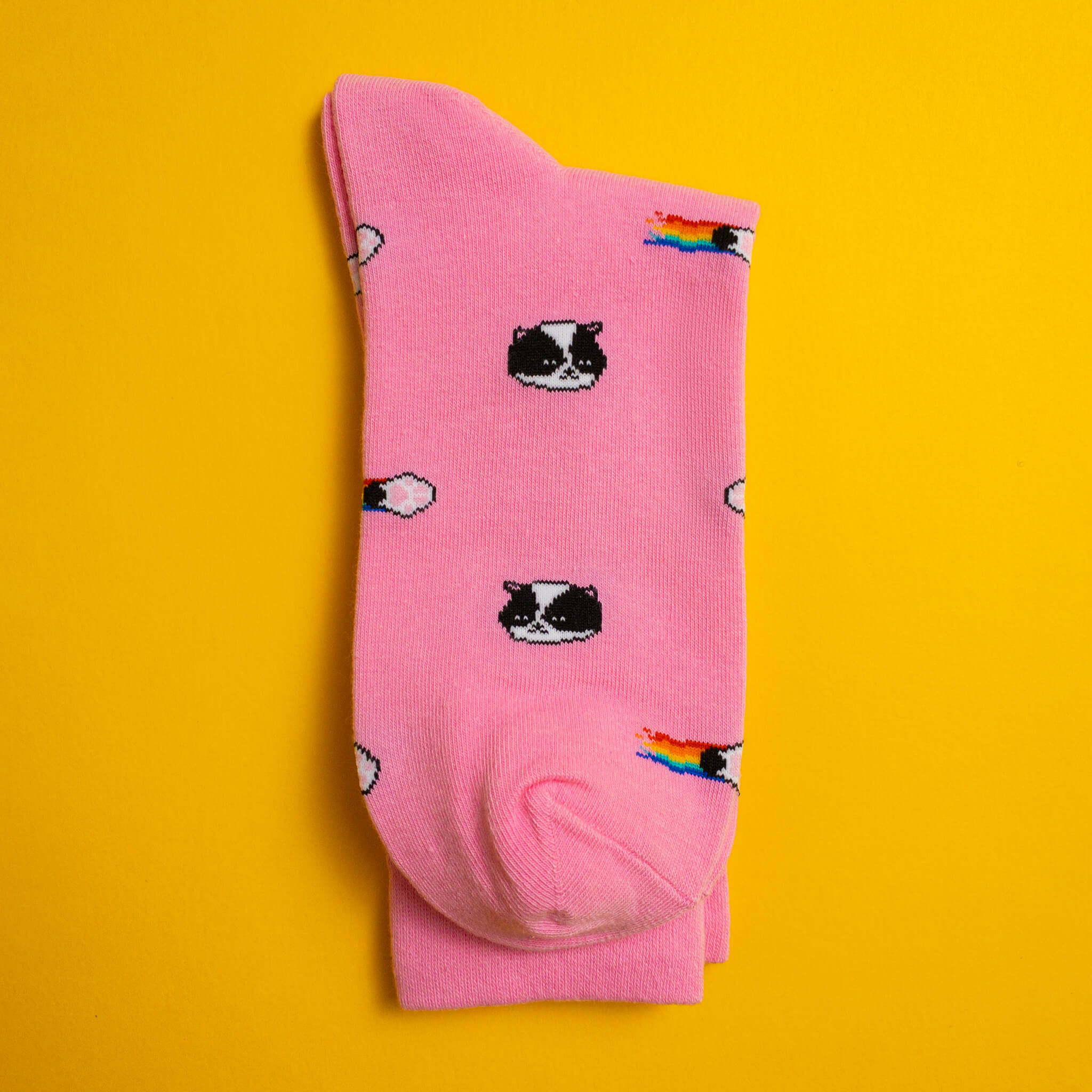 Kitten — socks