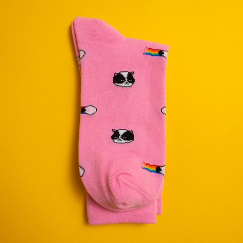 Kitten — socks