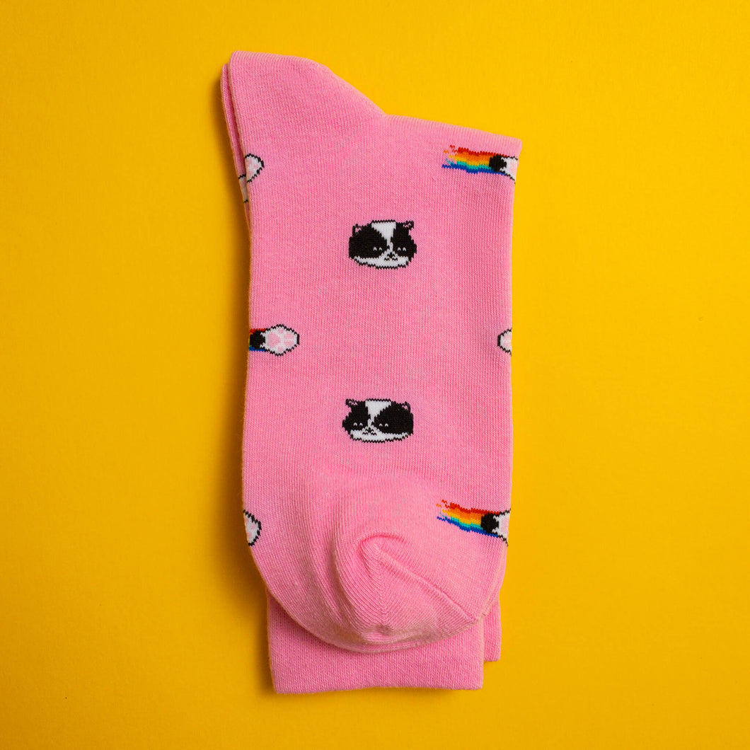 Kitten — socks