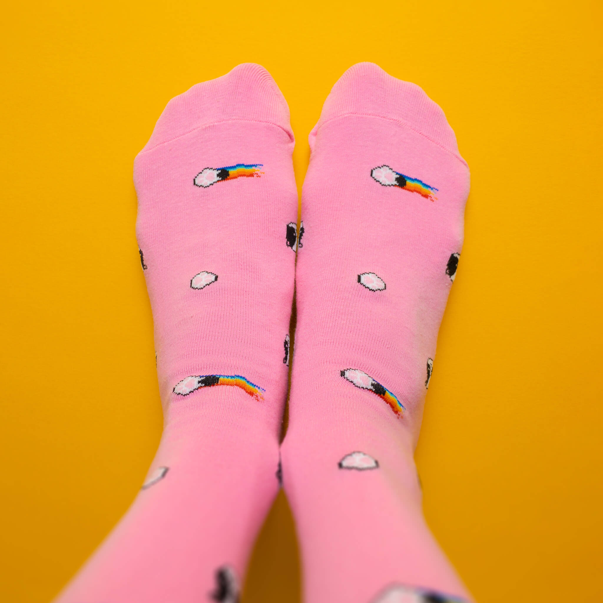 Kitten — socks